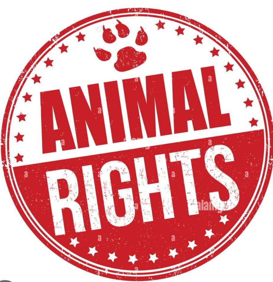 Animal Rights Logo